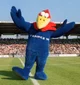 Footix the Rooster