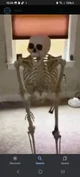 Skeleton