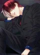 Shoto todoroki