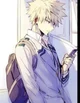Katsuki Bakugou 