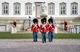Danish royal guard