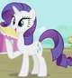 Rarity 