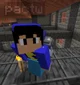 Pac QSMP