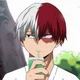 Shoto todoroki