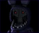 Withered Bonnie