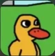 the duck