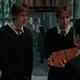Gemelos Weasley 