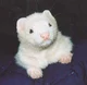 Draco as a ferret 