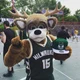 Bango the Buck