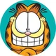 Garfield The Cat