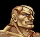 Sagat