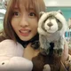 Momo - A racoon