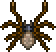 Spider infestation