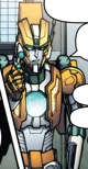 Rung