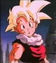 Gohan 