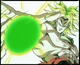 Broly