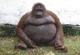 Monke