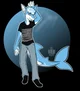 Furry Shark Boy