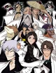 Bleach captains
