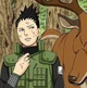 Shikamaru Nara