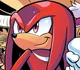 Knuckles The Echinda