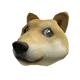 Doge