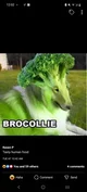 The Brocollie