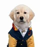 Corazon Pup Academy