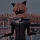 Cat Noir