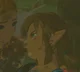 BOTW LINK