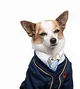 BITE Pup academy