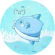 Mola mola