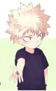 Bakugou lil bro au 