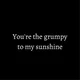 Grumpy x sunshine