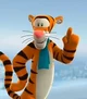 3d TIGGER