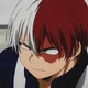 Shoto Todoroki 