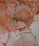 Katsuki Bakugou