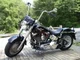 Harley Davidson