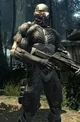 Crysis rp