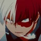 Shoto Todoroki