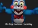 toy bonnie