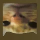 CatBot