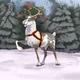 Reindeer 