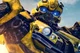 Bumblebee