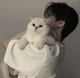 Leo - BL