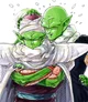 Nail and Piccolo