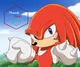 Knuckles The Echinda
