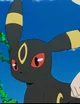 Umbreon 