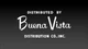 Buena vista V2
