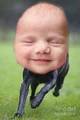Dog-Baby